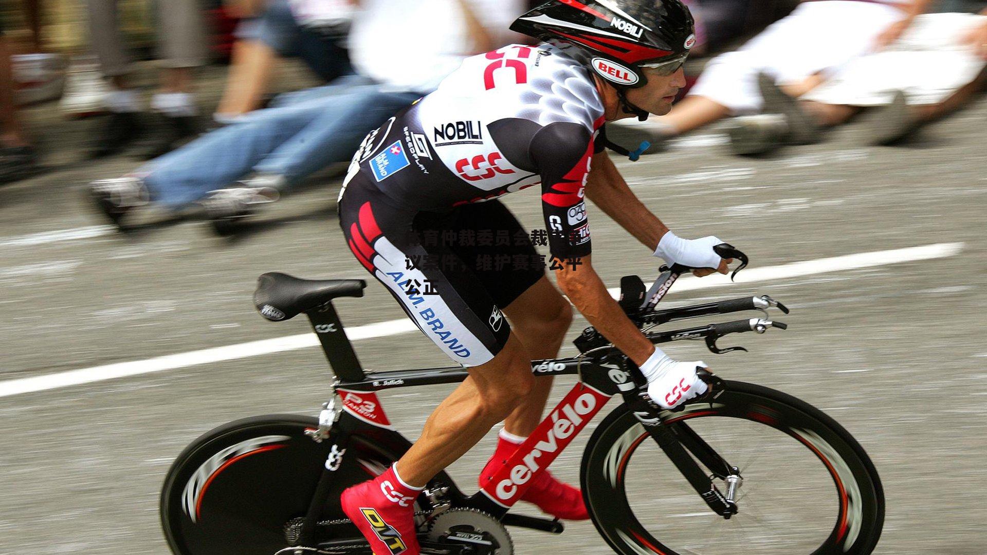 体育仲裁委员会裁定争议案件,维护赛事公平公正