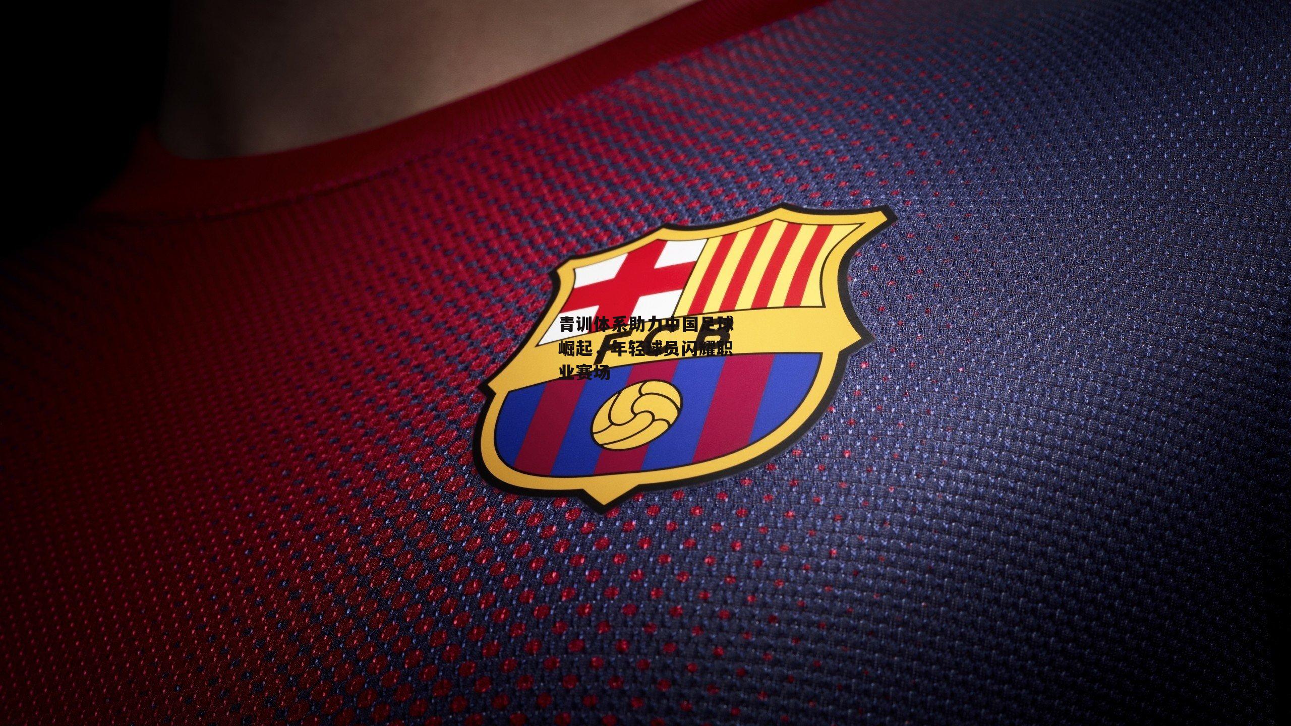 青训体系助力中国足球崛起，年轻球员闪耀职业赛场